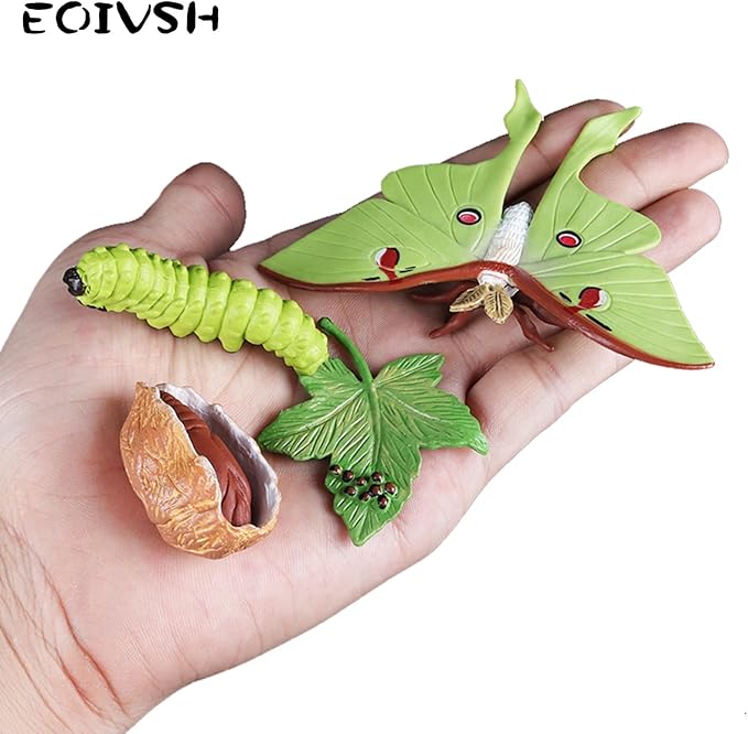8PCS Life Cycle Figurines of Monarch Butterfly and Actias Ningpoana, Realistic Education Insects Life Cycle Toys, Caterpillar to Butterfly Kit Growth Life Stages Figures for Learning and Teaching Aids