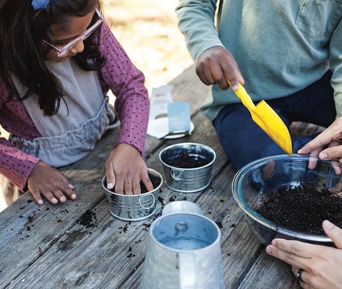 BUZZY Seeds Mini Basin Sensitive Plant Grow Kit, Interactive Leaves Move When Touched, Flower Starter Kit for Kids and Adults | Indoor Gardening Gift, DIY Home Project