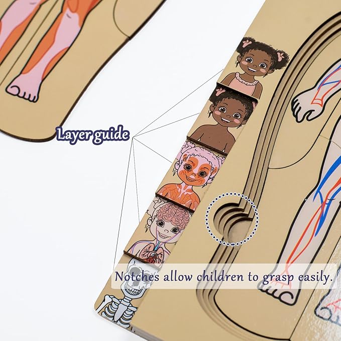 My Body Parts Puzzle for Toddlers Kids African Girl Montessori Wooden Anatomy Puzzle 3-5 Years Old Preschool Learning Game Human Body Cognitive Toys
