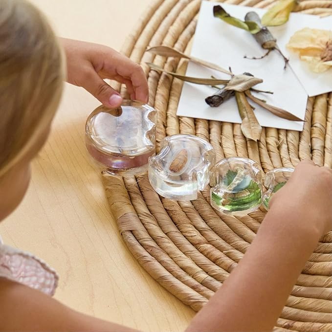 Kaplan Early Learning Specimen Life Cycle Puzzles - Moth