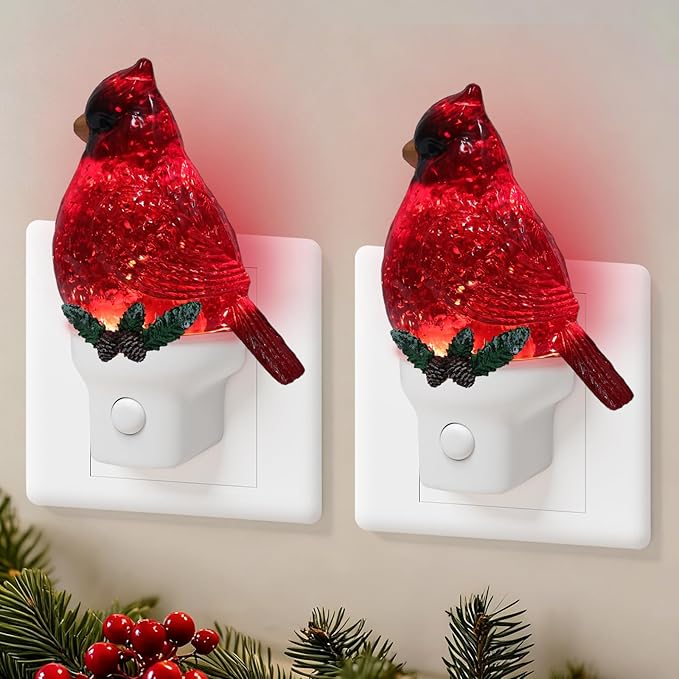 2 Pack Christmas Cardinal Night Light Plug into Wall Glitter Water Nightlight with USB/Outlet Options, Christmas Decorative Nightlight for Bedroom Kitchen Nursery Holiday Decorations Gifts (Cardinal)