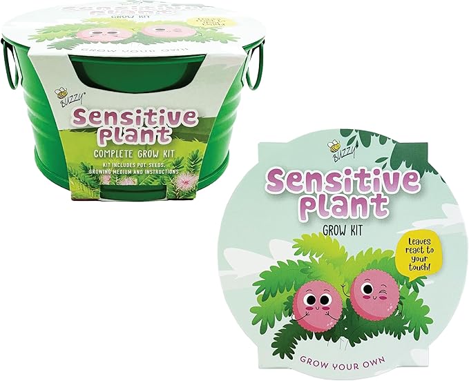 BUZZY Seeds Mini Basin Sensitive Plant Grow Kit with Green Planter, Touch Responsive Tickle Me Plant for Kids and Adults, Fun Indoor Gardening DIY Kit