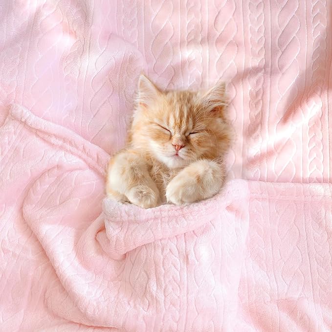 BORITAR 3D Fleece Baby Blanket for Girls, Warm and Lightweight Infant Toddler Newborn Bed Blanket with Reversible Plaited for Crib Stroller and Home Decor (30x40 inch, Pink)