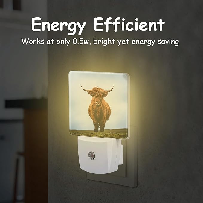 Scottish Highland Cows Night Light for Kids Girls Boys,LED Night Light Plug into Wall with Dusk to Dawn Sensor for Room Decor,Hallway,Kitchen,Bathroom,Nursery,Stairs