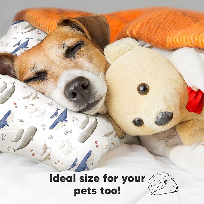 Toddler Pillow with Pillowcase - 13x18 My Little Dreamy Kids Travel Bed Pillows for Sleeping, Organic Cotton Small Pillowcase, Soft & Breathable, Machine Washable, Toddlers 2-5 Years Old (Marine)