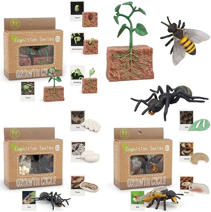 Montessori Life Cycle Animal Figurines Learning & Education Toys, Plastic Insect Life Cycle Toys for Kids, Preschool Learning Activities for Toddlers (Plant Bee Ant)