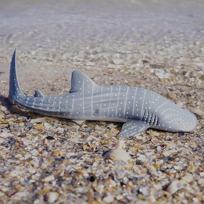 Safari Ltd. Whale Shark Figurine - Detailed 7.25" Aquatic Figure - Educational Toy for Boys, Girls, and Kids Ages 3+