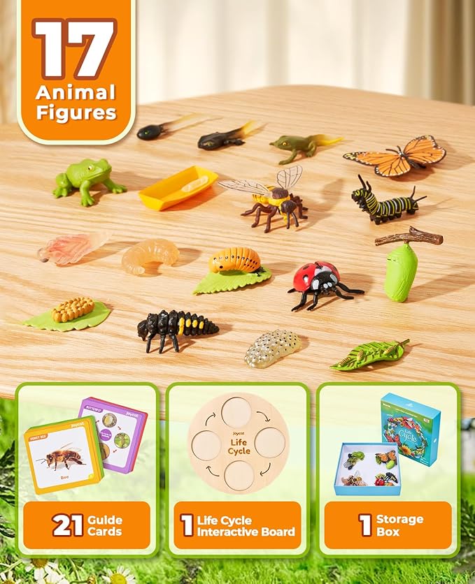 JoyCat Life Cycle Learning Education Toys, Insect Caterpillar to Butterfly kit, Ladybug, Bee, Tadpole to Frog Kit Life Cycle Toys for Kids, Preschool Learning Activities for Age 3 4 5 6 7 8