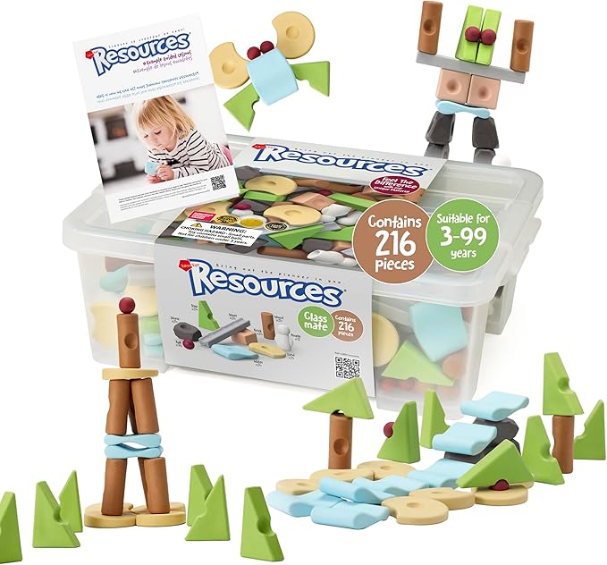 Taksa Toys Nature-Inspired Learning Toys, Resources Preschool Educational Stacking Blocks for Kids, Montessori Toys for 3 4 5 6 7+ Year Old Sensory Outdoor/Indoor Learning Classmate Pack 216 Pcs