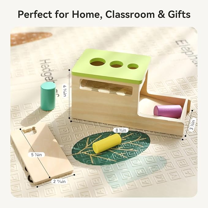 Montessori Wooden Peg Drop Toy | Educational Size Matching Game for Toddlers | Cylindrical Drop Box Toy with Transparent Viewing Window