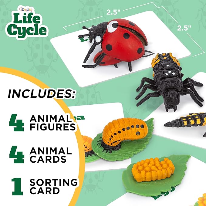 Life Cycle Kit Montessori - Realistic Figurine Toys, Kids Animal Matching Game with Ladybug, Stocking Stuffers Science, Fun for Learning & Education Toys, for Children 3+
