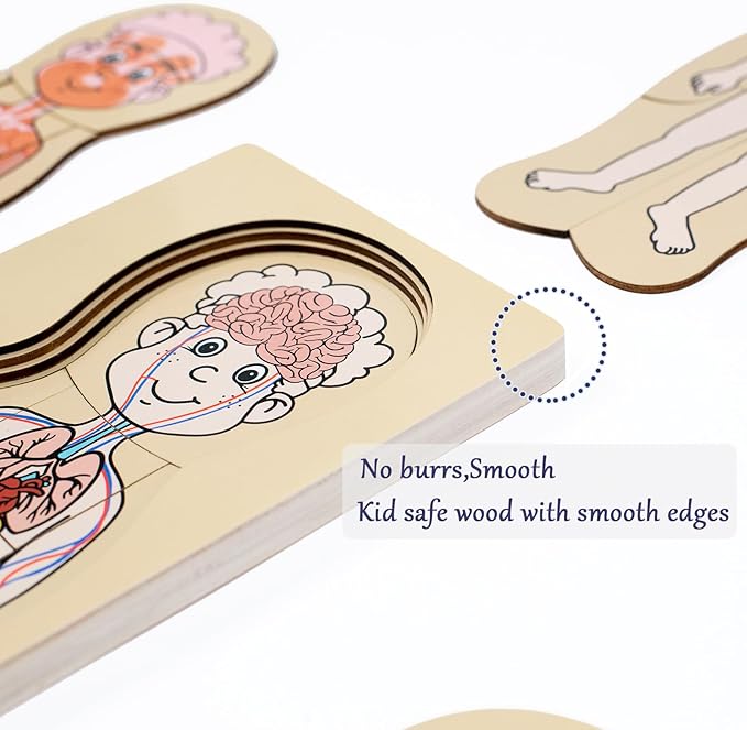 My Body Parts Puzzle for Toddlers Kids Girls Boys Montessori Wooden Anatomy Puzzle 3-5 Years Old Preschool Learning Game Human Body Cognitive Toys