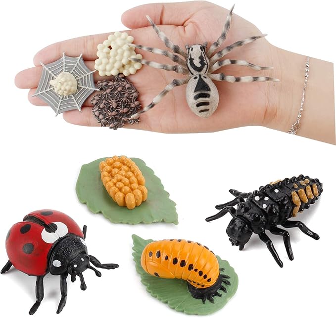 20 PCS Insect Animal Life Cycle Model Figure Plant Spider Bee Butterfly Figurines Ornament Cake Toppers Party Favors Supplies Cognitive Toy for Boys Girls Kids