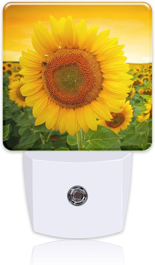 Plug in Night Lights Sunset Sunflower Field Nightlight Plug Into Wall Dusk to Dawn Sensor LED Night Light for Kid Girls Boys Women Men Room Decor, Hallway, Kitchen, Bathroom, Nursery, Stairs