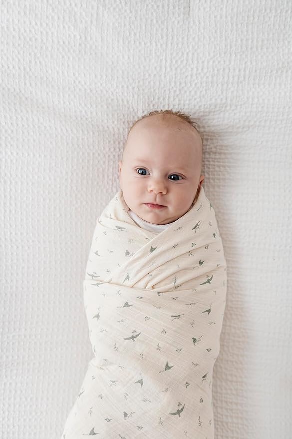 Ely's & Co. Muslin Swaddle Blanket 1-Pack for Baby Boy/Girl, 100% Cotton Muslin Extra Large Swaddle Receiving Blanket, 47”x47” (Sage Bird)