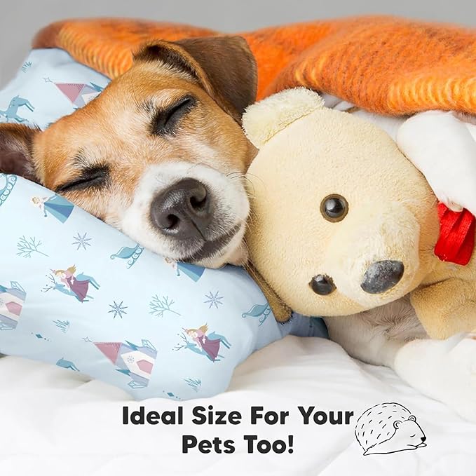 Toddler Pillow with Pillowcase - 13x18 My Little Dreamy Kids Travel Bed Pillows for Sleeping, Organic Cotton Small Pillowcase,Soft & Breathable,Machine Washable,Toddlers 2-5 years old(Enchanted Frost)