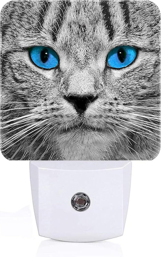 Blue Eyes Cat Night Light,Plug Into Wall with Dusk to Dawn Light Sensors, Warm Nightlights for Bedroom, Bathroom, Hallway, Kitchen, Gifts Ideal for Boys Girls Women Men