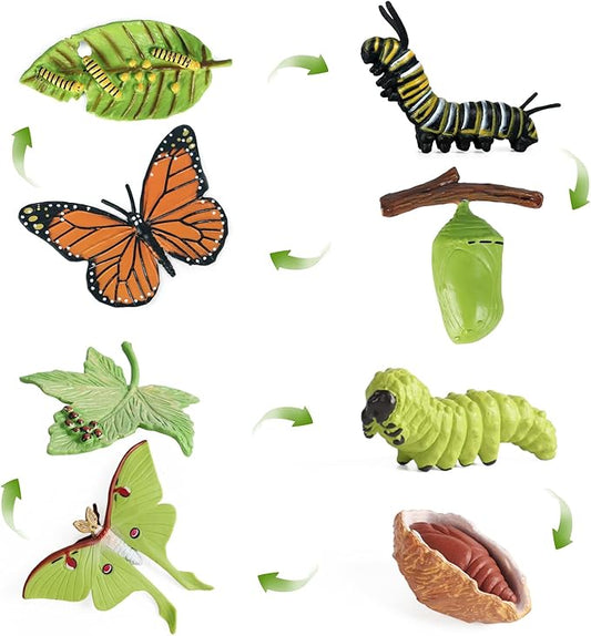 SIENON 8Pcs Butterfly and Actias Ningpoana Life Cycle Figures, Plastic Caterpillar to Monarch Butterfly Growth Toy Insect Playset for Kids Birthday Party Gift Biology Teaching Tools School Project