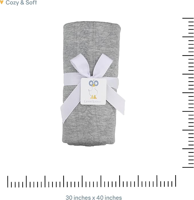 GooseWaddle Luxury Knit Baby Blanket (30”x40”), Premium Comfort from Ultra Soft Fabrics That Get Softer with Use, Perfect for Any Infant Nursery, Boy or Girl, Machine Washable (Mint)