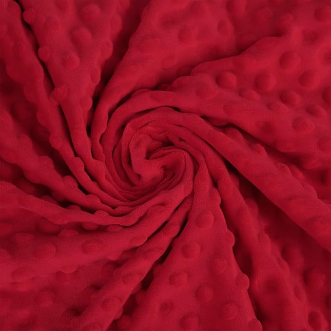Pro Goleem Baby Soft Minky Dot Blanket with Silky Satin Backing Baby Gifts for Boys and Girls (Red, 30’’ x 40’’)