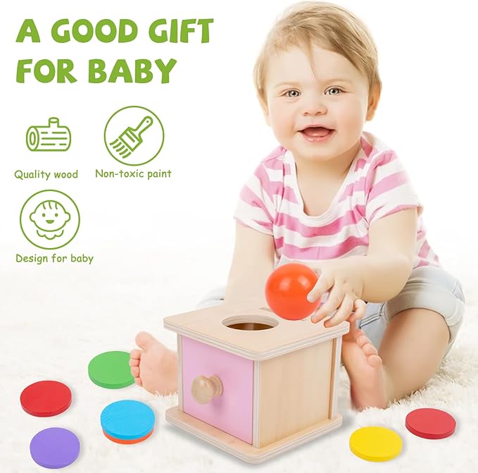 Adena Montessori Infant Toddlers Coin Box Montessori Toys for 6-12 Months Babies 1 Year 2 Year Old (2 in 1,Coin&Ball, Pink Door)