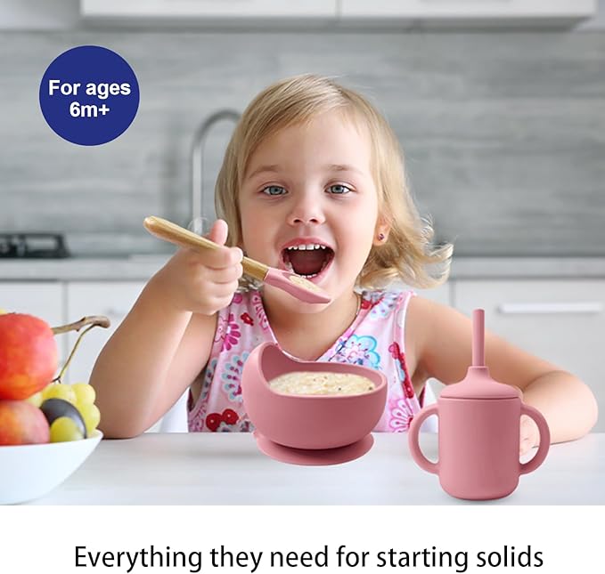 LITTLE RAWR Silicone Baby Feeding Set 14 Pcs,Baby Led Weaning Supplies, Baby Spoons Suction Bowl Divided Plate Bib Cup Finger Brush,First Stage Solid Food Eating Utensils - 6+ Months(Deep Red)