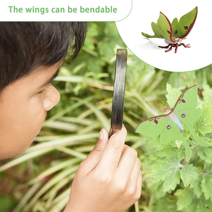 SIENON 8Pcs Butterfly and Actias Ningpoana Life Cycle Figures, Plastic Caterpillar to Monarch Butterfly Growth Toy Insect Playset for Kids Birthday Party Gift Biology Teaching Tools School Project