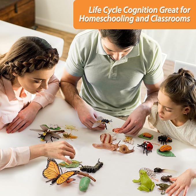 Montessori Animal Life Cycle Figurines, Plastic Miniature Educational Toys, 6 Count, Ages 3+