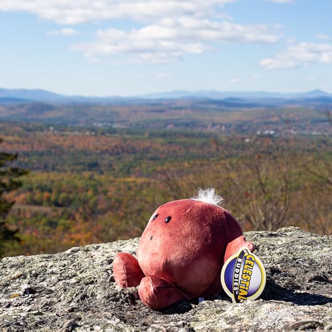 Celestial Buddies Mars Buddy | 9" Soft Stuffed Plush, Embroidered Features, Fun Red Planet Facts Tag for Kids – STEM Learning, Educational Gift, Classroom & Homeschool Science Space Astronomy | 0+