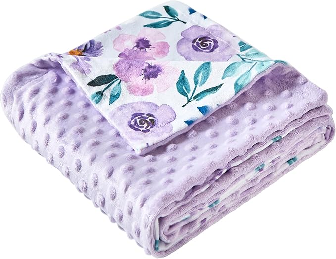 iEvolve Baby Nursery Bed Blankets Ultra Soft Double Layer Mini Blanket Minky Blanket Receiving Blankets Shower Gifts(30"*40",Roses)
