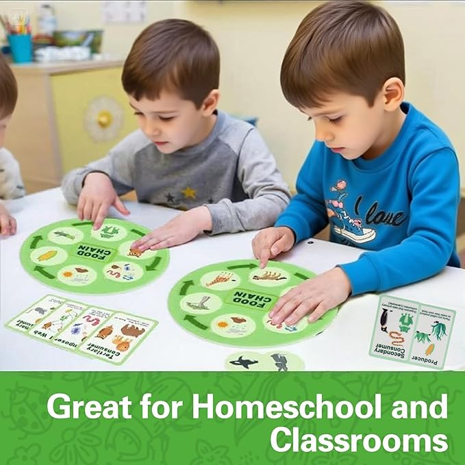 Life Cycle Toys for Kids-Food Chain & Food Web Science Education Toys - Montessori Animal Life Cycle Learning Toys for Toddlers-Preschool Classroom Must-Have Science Kits for Kids