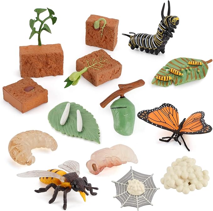 20 PCS Insect Animal Life Cycle Model Figure Plant Spider Bee Butterfly Figurines Ornament Cake Toppers Party Favors Supplies Cognitive Toy for Boys Girls Kids