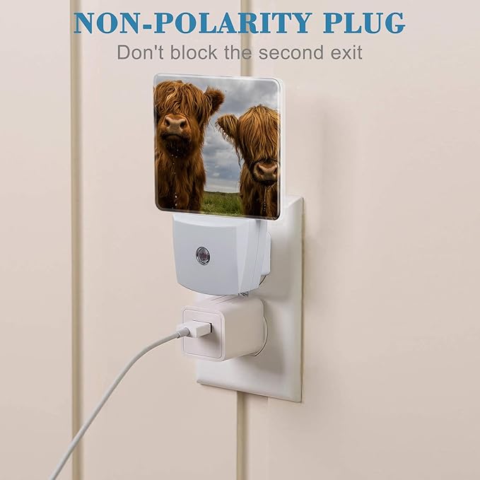 Highland Cows Night Light with Dusk to Dawn Sensor for Kid Girls Boys Women Men Room Decor, Hallway, Kitchen, Bathroom, Nursery, Stairs