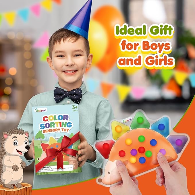 Color Sorting Sensory Toys for Toddlers : Fine Motor Skill Games Learning Toy for Toddlers, Color Matching Preschool Activities Educational Calm Down Montessori Toys for Kids Boy Girl Gifts Ages 3+