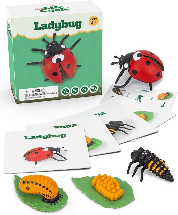 Life Cycle Kit Montessori - Realistic Figurine Toys, Kids Animal Matching Game with Ladybug, Stocking Stuffers Science, Fun for Learning & Education Toys, for Children 3+