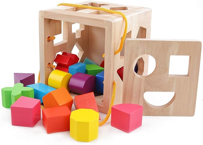 QZMTOY Shape Sorter Toys with 19 Shape Blocks, Classic Wooden Toys for Toddlers Kids, Gift for Girls Boys 2-4 (Natural Solid Wood)