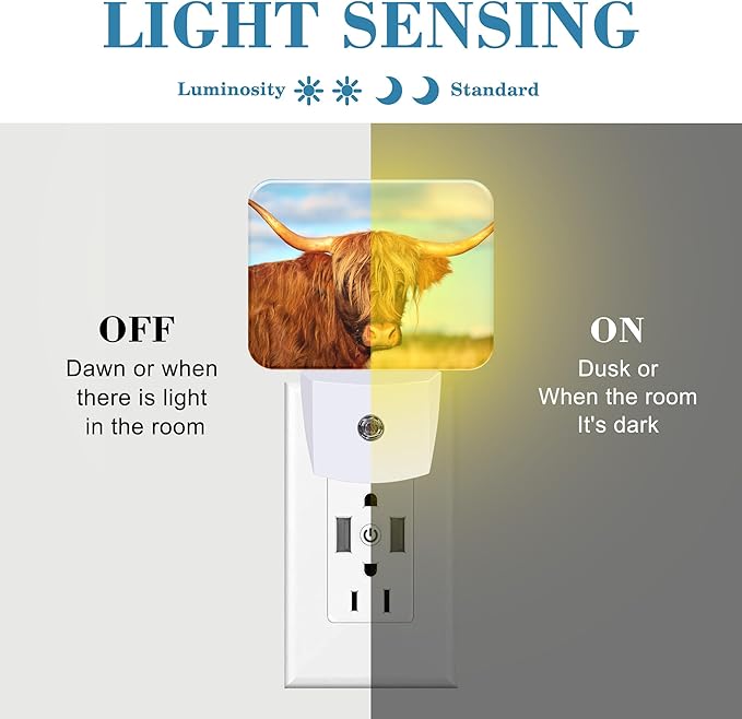 Highland Cow in Field Night Light Plug into Wall, Cool Highland Cow Night Light with Dusk to Dawn Sensor for Kid Girls Boys Women Men Bedroom, Hallway, Kitchen, Bathroom, Stairs Decor