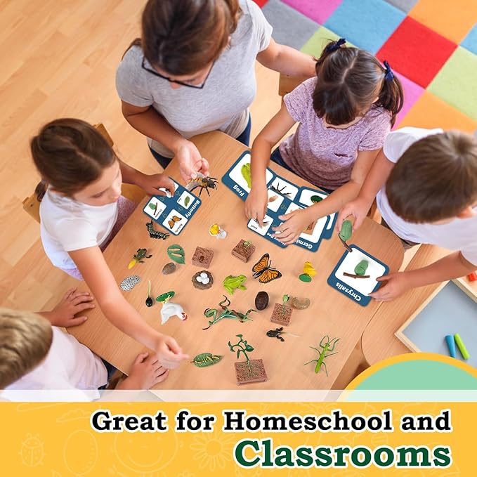 Life Cycle Learning Toys for Kids: Life Science Education Kits with Butterfly, Frog, Chicken, Mantis, Bee, Plants - 25 Pieces Animal Figurines Montessori Toys for Children Age 3 4 5 6 7 8+