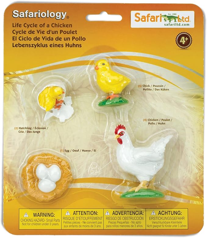 Safari Ltd. Life Cycle of a Chicken - Realistic Educational Toy Figurines - Miniature Poultry Lifecycle Collection for Boys, Girls & Kids Age 4+