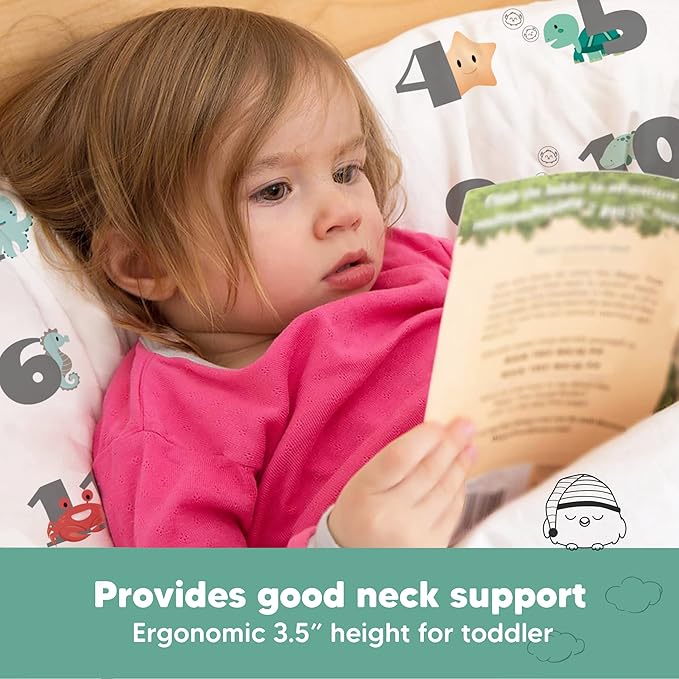 Toddler Pillow with Pillowcase - 13x18 My Little Dreamy Kids Travel Bed Pillows for Sleeping, Organic Cotton Small Pillowcase, Soft & Breathable, Machine Washable, Toddlers 2-5 Years Old (Kea123)