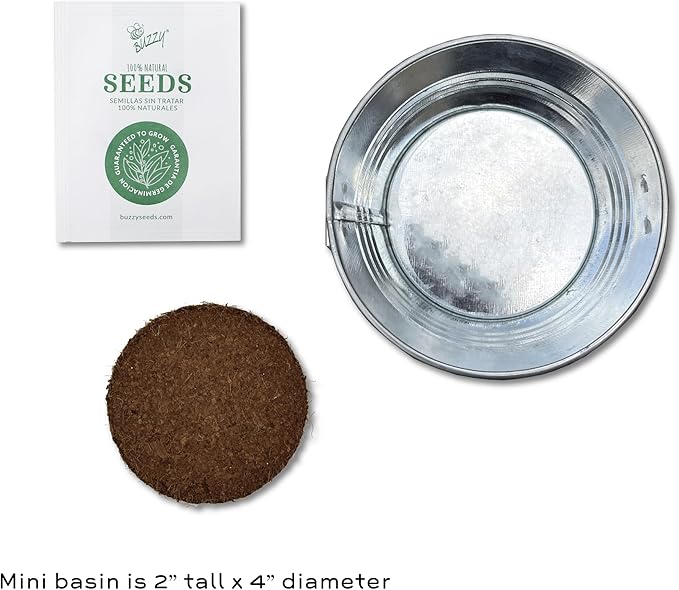 BUZZY Seeds Mini Basin Gardening Kit with Strawberry Seeds for Planting, Flowering Fruit Starter Set, Indoor Plants for Kids and Adults, DIY Plant Project, Children's Birthday Present, Party Favor