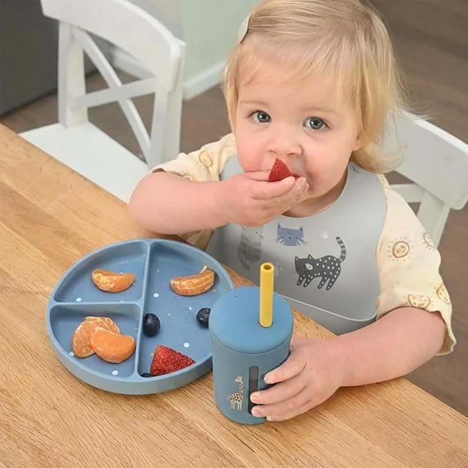 Baby Silicone Bibs 2 Sets Baby Bibs with Food Catcher for Girls Boys Toddlers BPA Free Waterproof Soft Durable