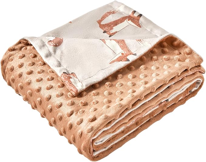 iEvolve Baby Nursery Bed Blankets Ultra Soft Double Layer Mini Blanket Minky Blanket Receiving Blankets Shower Gifts(30"*40",Fox)