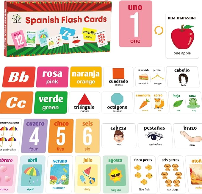 Ceiba Tree Spanish Flash Cards 100 English to Spanish Bilingual Flashcards Español Vocabulary Alphabet Number Colors Educational Learning Toys for Kids Adult Beginners Toddlers Grade School Classroom
