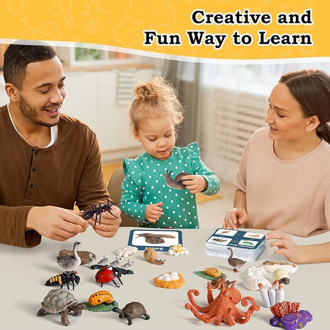 Life Cycle Toys for Kids - Life Science Education Kits: Ladybug, Ants, Goose, Land Turtle, Snail, Octopus - 24 Pieces Animal Models STEM Learning Toys for 3-10 Year Old