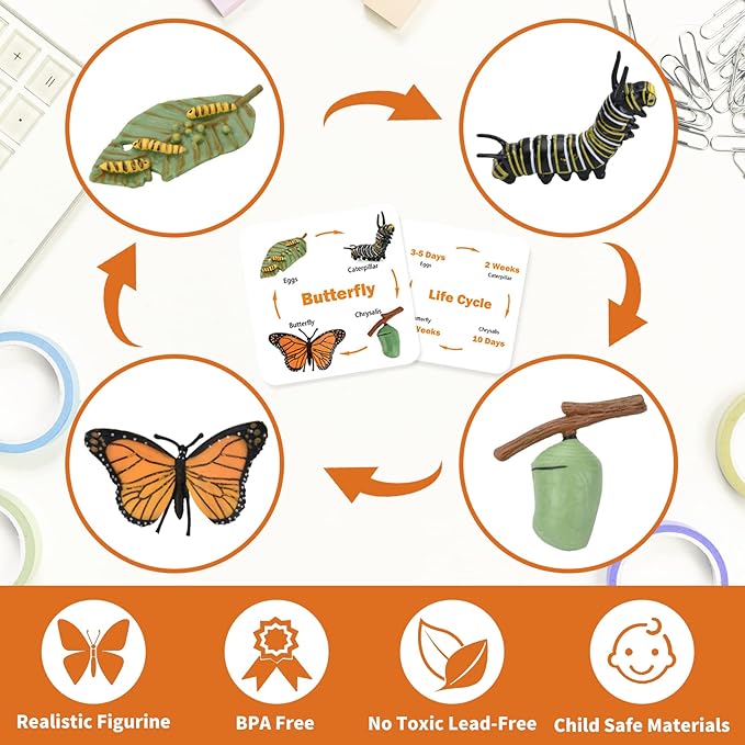 Montessori Animal Life Cycle Figurines, Plastic Miniature Educational Toys, 6 Count, Ages 3+