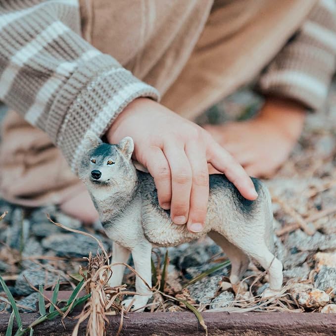 Safari Ltd. Gray Wolf Toy Figurine - Detailed 4.8" Plastic Model Figure - Fun Educational Play Toy for Boys, Girls & Kids Ages 3+