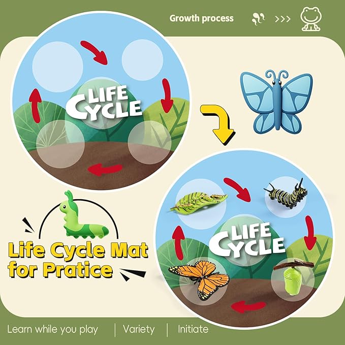 Life Cycle Kit Toy Montessori, Realistic Figurines Set for Kids with 25 Pieces Animals & Plants, Learning & Education Activity Games for Children 3 + |Preschool Classroom Must Haves