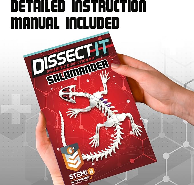 Dissect-It Kit for Kids, Simulated Synthetic Lab Dissection Toy, Salamander STEM Toys for Animal Science, Biology, and Anatomy