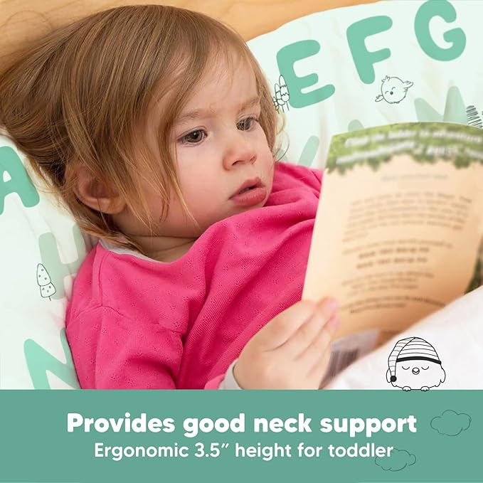 Toddler Pillow with Pillowcase - 13x18 My Little Dreamy Kids Travel Bed Pillows for Sleeping, Organic Cotton Small Pillowcase, Soft & Breathable, Machine Washable, Toddlers 2-5 years old (KeaABC Mint)